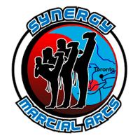 Synergy Martial Arts