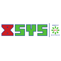 XSYS International