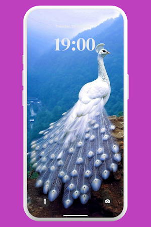 Beautiful Peacock Wallpaper 4K Screenshot 3