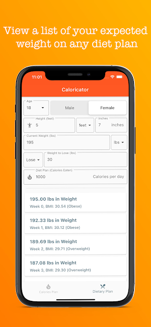 Caloricator Screenshot 2