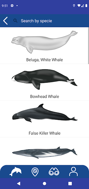 Whale Reporter Screenshot 3