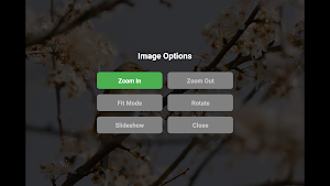 USB Gallery Screenshot 2