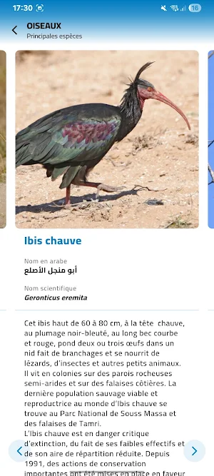 Parc National de Souss Massa Screenshot 3