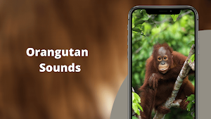 Orangutan Sounds Screenshot 0