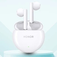 Honor Earbuds X5 Guide