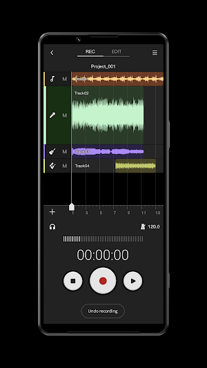 Music Pro Screenshot 0