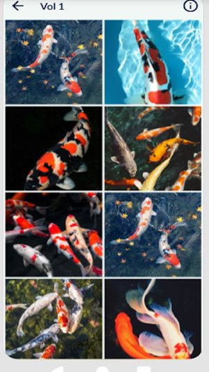 Koi Wallpaper HD Offline Screenshot 1