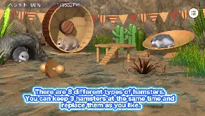 Play with your hamster Screenshot 2