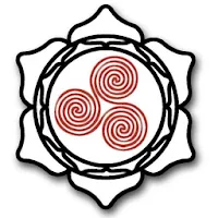 Random Aikido Technique
