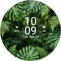 Lush Green Canopy