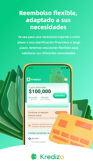 Kredizo Screenshot 0