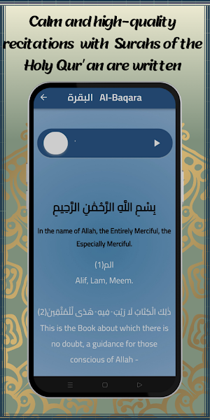 amer al kazemi quran mp3 Screenshot 2