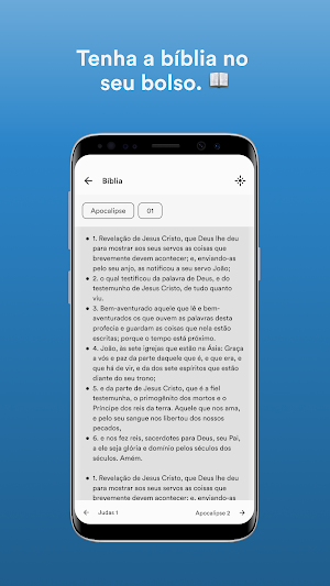 PIBS Sabará Screenshot 2