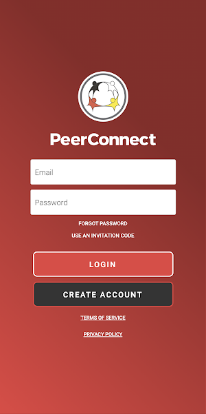 Wiiji PeerConnect Screenshot 0