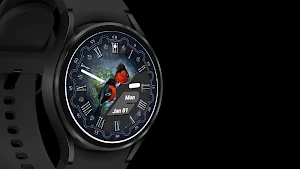 Bullfinches Watch Face Screenshot 3