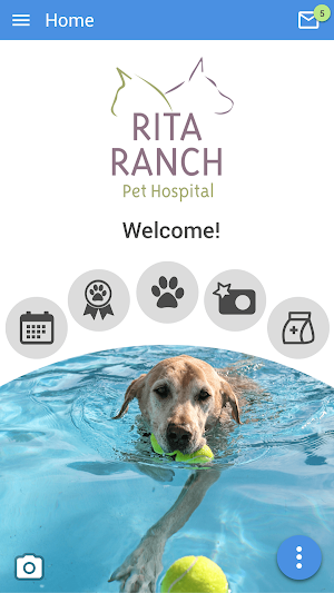 Rita Ranch Pets Screenshot 0