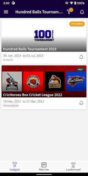 Hundred Balls Tournament Screenshot 2