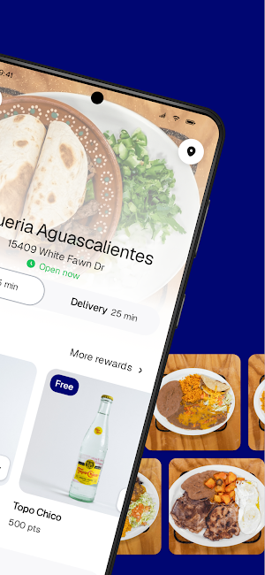 Taqueria Aguascalientes Screenshot 1