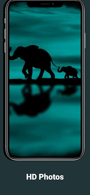 Cute HD Elephant Wallpapers Screenshot 3