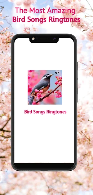 Bird Songs ringtones Screenshot 0