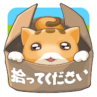 捨て猫レスキュー