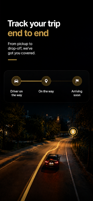 Cruise in Ride Screenshot 2
