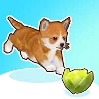 Pet Runner