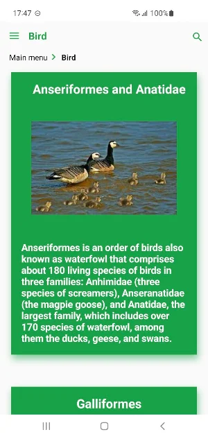 Saudi Arabia Animals Screenshot 2