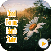 Good Morning Islamic Status