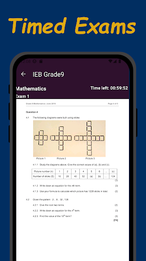 IEB Grade 9 Past Papers Screenshot 1