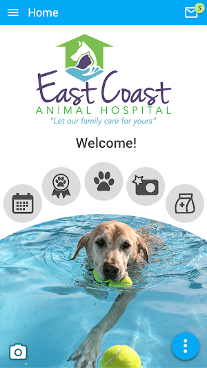 East Coast Animal Hospital Screenshot 0