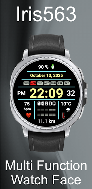 Iris563 Multi-Function Digital Screenshot 3
