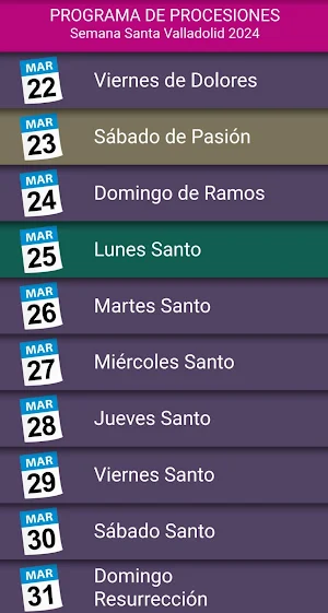 Semana Santa Valladolid 2024 Screenshot 3