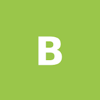 BlipScan