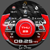 N-SPORT395 BGTCar Driver Sport