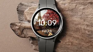 Parisian bench - Watch Face Screenshot 3