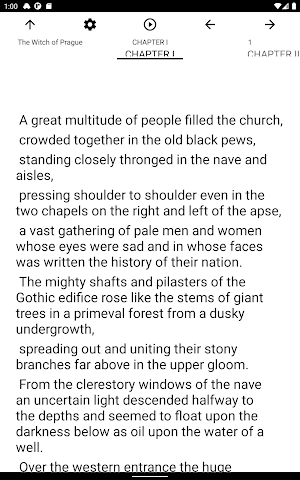 Book, The Witch of Prague Screenshot 3
