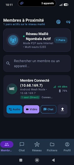 Ngombale Screenshot 3
