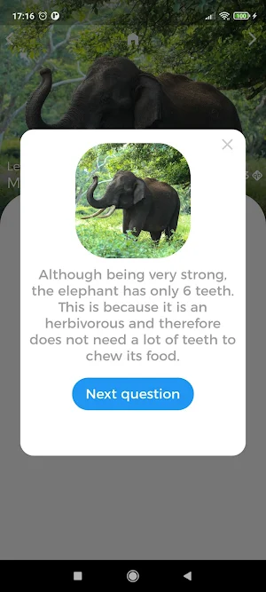 Animals Quest - Fun Quiz Screenshot 2