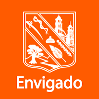 Amigos Seguridad