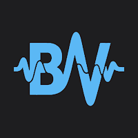 BridgeVox: Interpreter & Notes