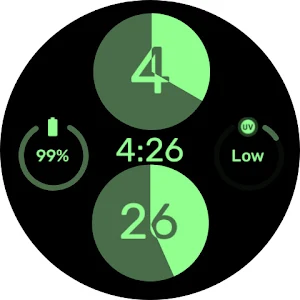 Simple Circle - Watchface Screenshot 1