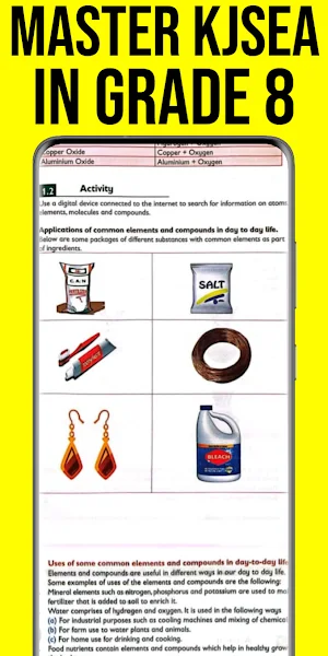 Grade 8 Science KJSEA Topicals Screenshot 2