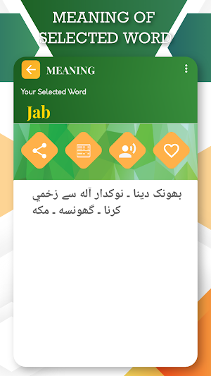 English to Urdu Translator Screenshot 3