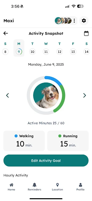 Link: Connected Pet Screenshot 0