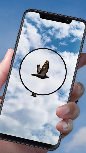 Magnizly: Zoom Magnifier Screenshot 0