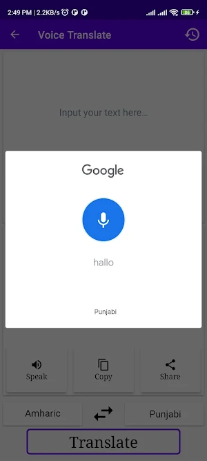 Amharic To Punjabi Translator Screenshot 3