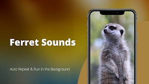 Ferret Sounds Screenshot 0