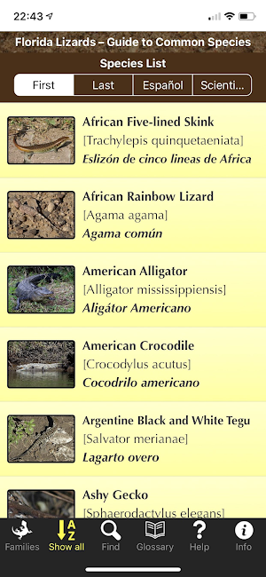 Florida Lizards Screenshot 0