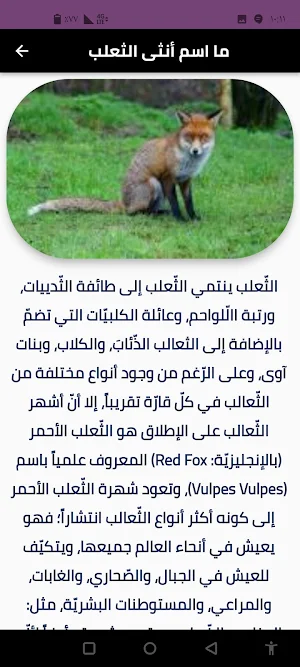 حيوانات مفترسة Screenshot 0